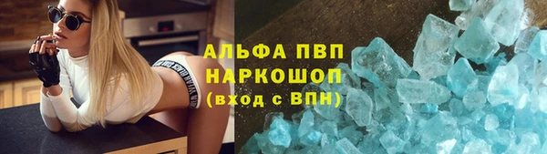 шишки Коряжма