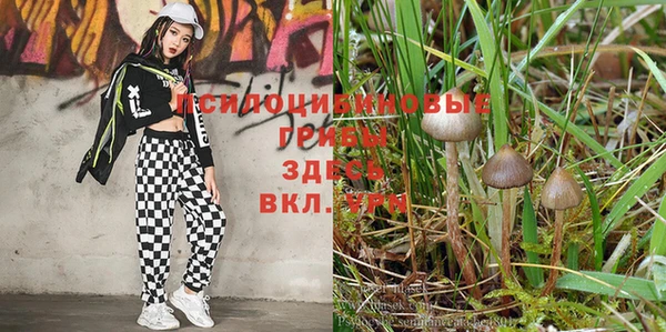метамфетамин Арсеньев