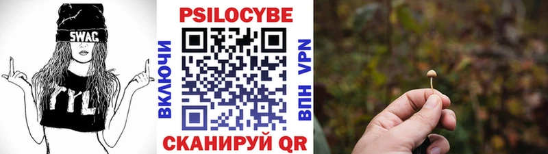 Псилоцибиновые грибы Psilocybe  Ивантеевка 