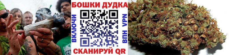 Конопля семена  МЕГА   Ивантеевка 